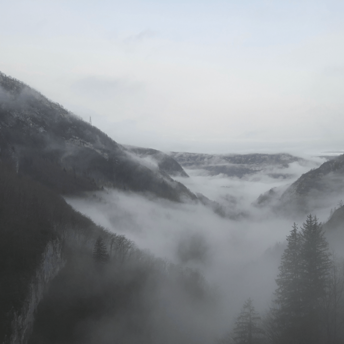 Sébastien Berlendis x Les Marquises : mémoire(s) d&rsquo;un&nbsp;oubli